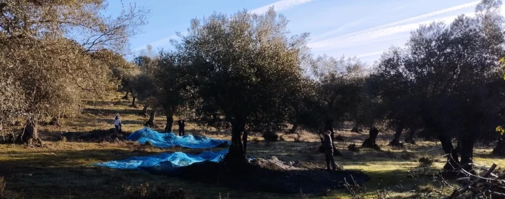 Mediambiente y ganaderia