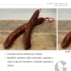 Chorizo ibérico sin aditivos ni conservantes (2 uds) - Imagen 4