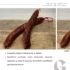 Chorizo ibérico picante sin aditivos ni conservantes (2 uds) - Imagen 3
