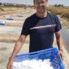 Flor de sal ecológica (100g) - Imagen 2