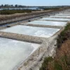 Flor de sal ecológica (100g) - Imagen 7