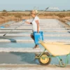 Flor de sal ecológica (100g) - Imagen 4
