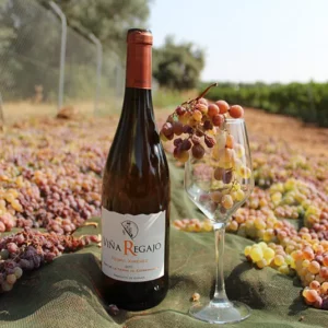 Vino Pedro Ximénez 2023