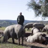 Jamón ibérico 100% artesanal de Huelva - Imagen 5