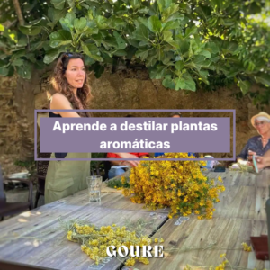 Tarjeta Regalo - Aprende a destilar plantas aromáticas