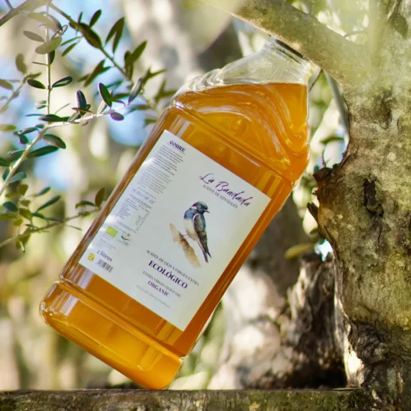 Aceite de oliva virgen extra ecológico de producción familiar - Imagen 7